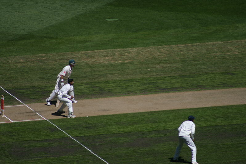 cricket players on the field